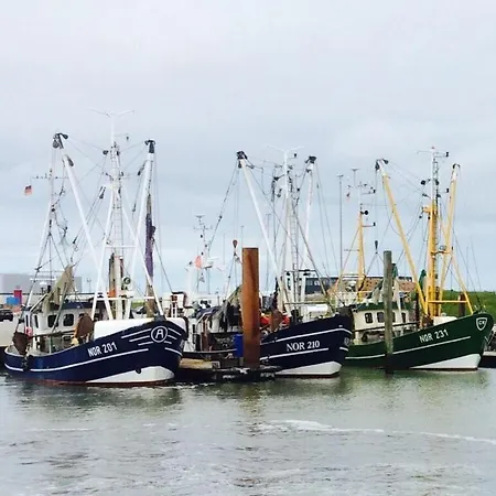 Nordwind Modern Retreat *